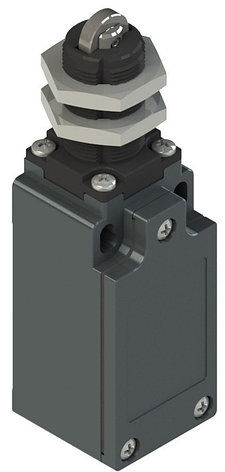 FM 1213 Pizzato Elettrica Конечный выключатель с роликом и резьбовым штоком, фото 2