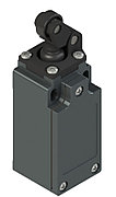 FM 10A2-M2 Pizzato Elettrica Конечный выключатель с односторонним роликом, внешней прокладкой