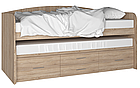 Кровать двухъярусная выдвижная (сосна арктическая) СН-108.02 Артём-Мебель, фото 3