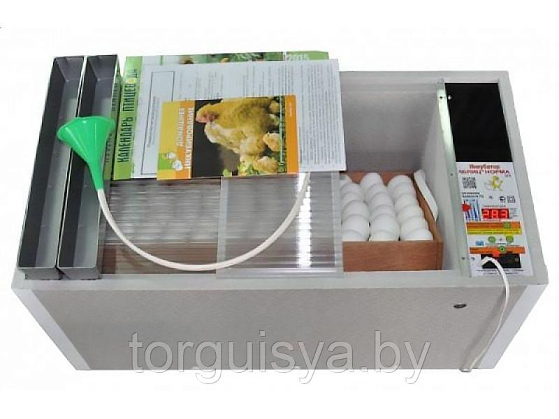 Инкубатор цифровой автоматический "БЛИЦ НОРМА" (72 яйца) - фото 1 - id-p104261234