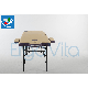 Массажный стол ErgoVita Master Alu Comfort (бежевый+фиолетовый), фото 3