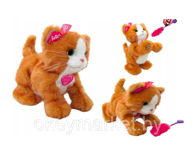 Интерактивный Котенок Дэйзи Hasbro FurReal Friends A2003 - фото 10 - id-p111805495