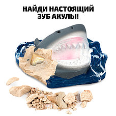 Игровой-набор Откопай зубы акулы 36030, фото 3
