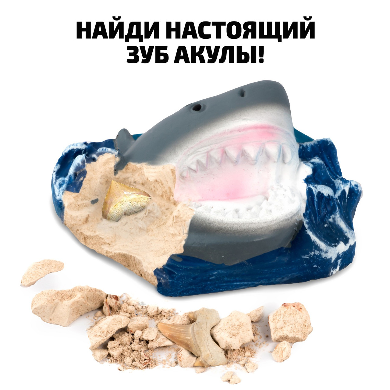 Игровой-набор Откопай зубы акулы 36030 - фото 3 - id-p98603540