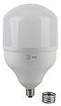Лампа светодиодная ЭРА LED POWER T160-65W-6500-E27/E40 (диод, колокол, 65Вт, холодный свет, E27/E40), фото 2