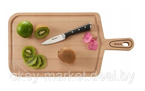 Набор кухонных ножей Tefal Ice Force с подставкой 6 предметов - фото 9 - id-p114637761