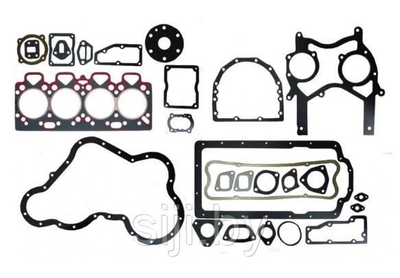 Комплект прокладок двигателя  BALKANCAR D3900