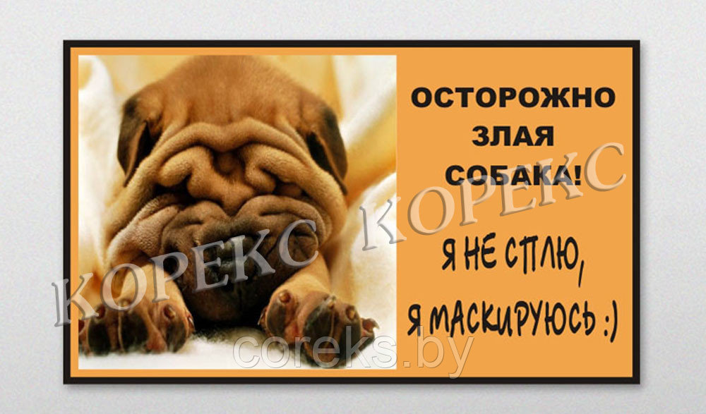 Табличка "Осторожно злая собака" (24*16 см)