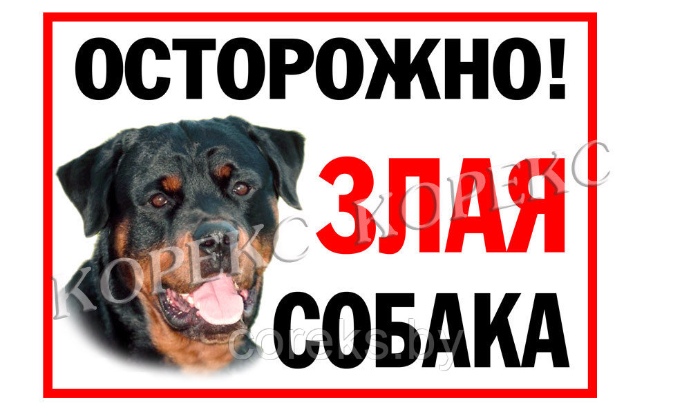 Табличка "Осторожно собака" (15*20 см) - фото 1 - id-p114946177