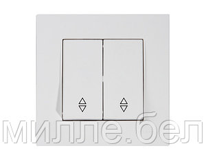 Выключатель проходной 2-клав. (скрытый, пруж. зажим) белый, RITA, MUTLUSAN (10 A, 250 V, IP 20)