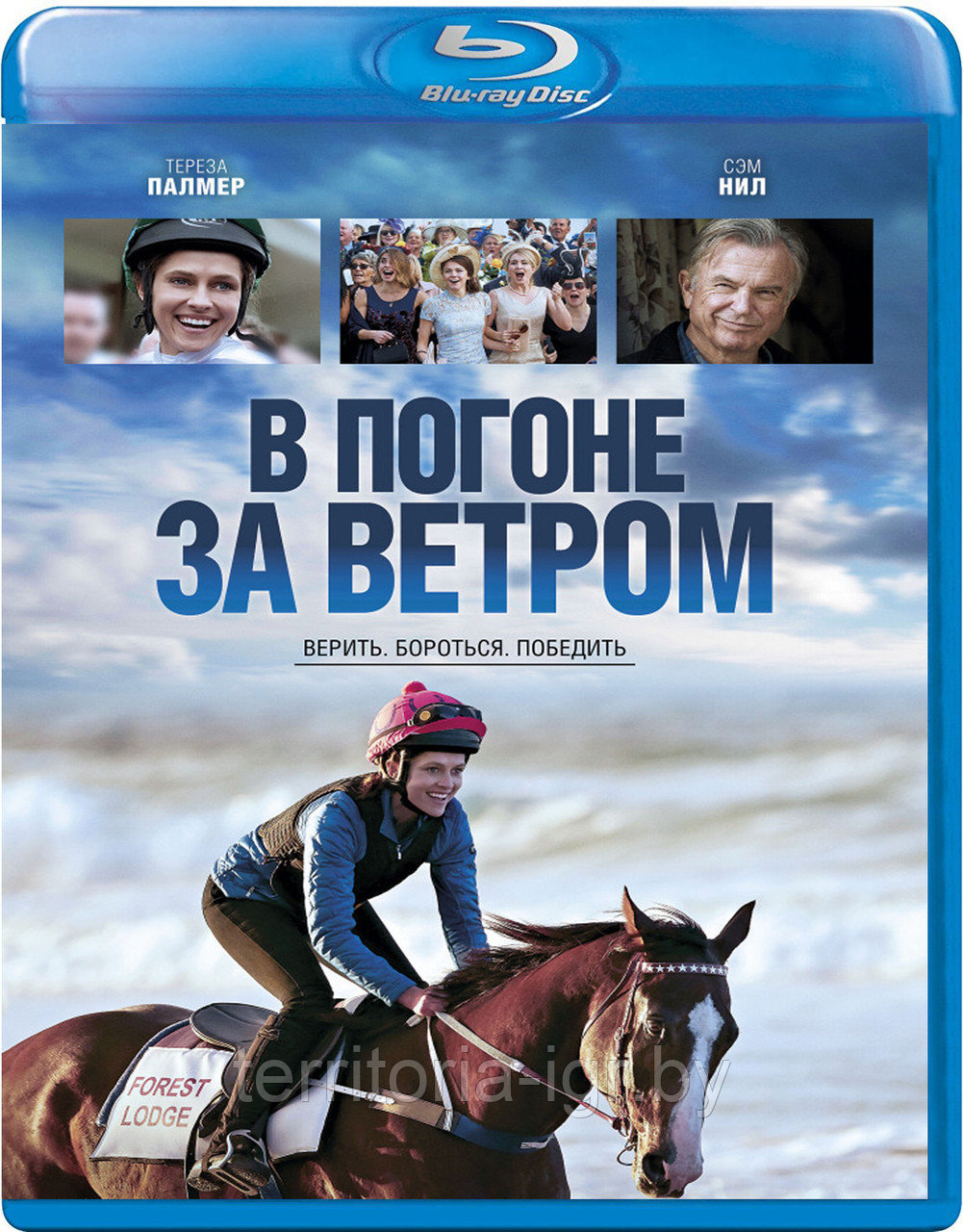 В погоне за ветром (BLU RAY Видео-фильм)