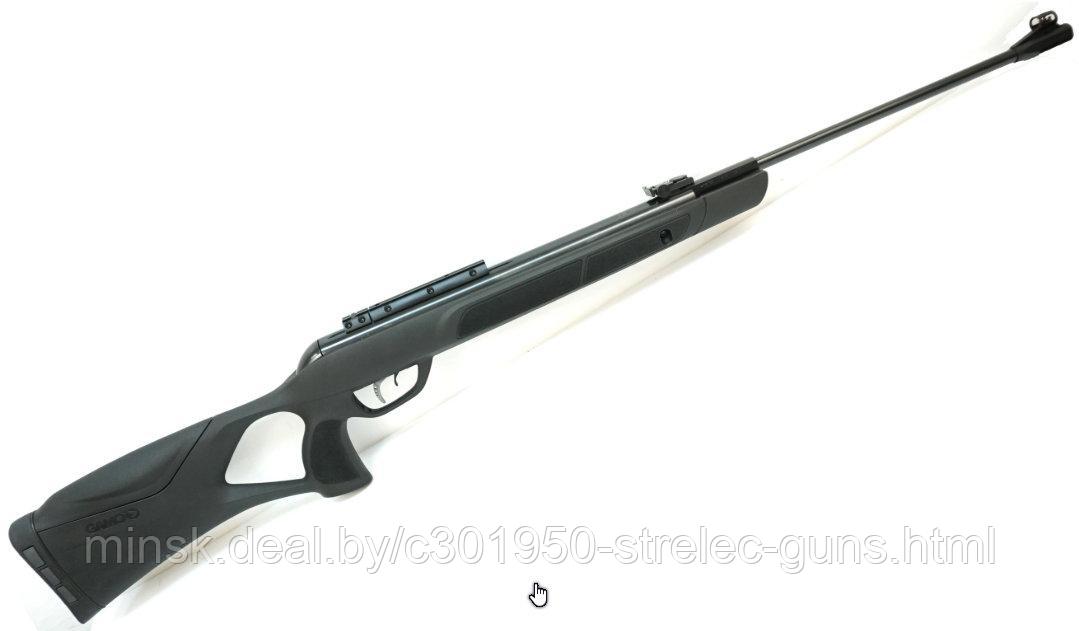 Пневматическая винтовка Gamo G-Magnum 1250 (3 Дж)