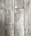 SF 51 Ясень Вирджиния (33 кл/8 мм/4V), фото 4