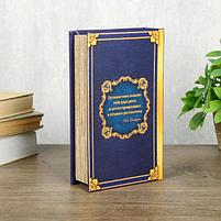 Сейф шкатулка книга "Покоряя горизонты" 21х13х5 см, фото 5