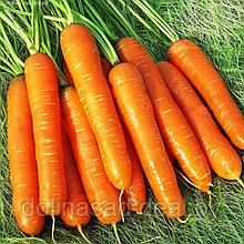 Агрофирма Поиск Морковь Нантская 4