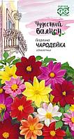 Гавриш Георгина Чародейка, смесь "Чудесный балкон"