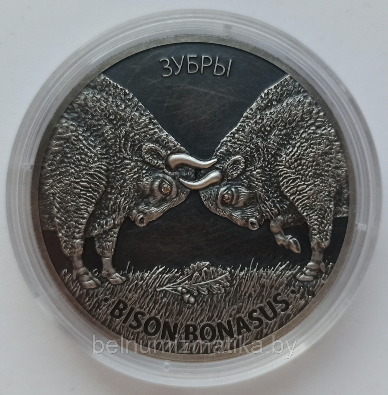 Зубры, 20 рублей 2012, Серебро BelCoinArt. Антик-финиш KM# 422