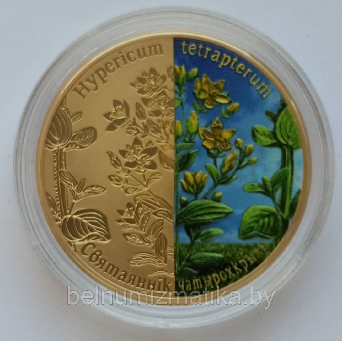 Зверобой четырехкрылый, 20 рублей 2013, набор из 4 монет серебро #BelCoinArt - позолота - цветная печать - фото 2 - id-p115578642