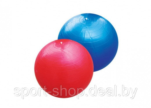 Шар для фитнеса F1302 d=65 cm, шар гимнастический, шар для гимнастики, фитбол, мяч для фитнеса - фото 1 - id-p115628537