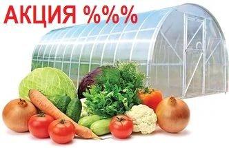 Теплица Сибирская 20Ц-0,67 ( шаг дуги 0,67м)