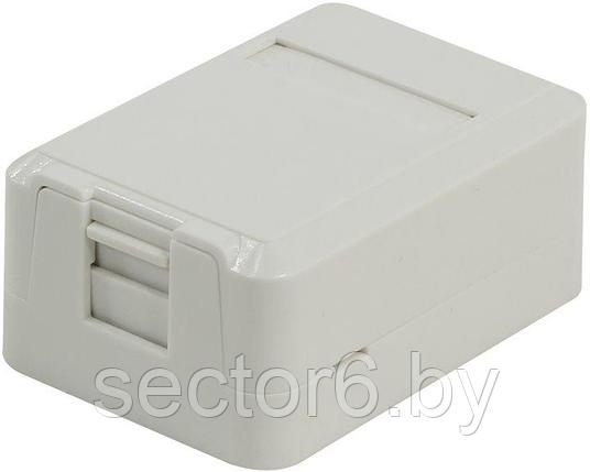 5bites Розетка внешняя RJ-45кат.6 сошторкой, фото 2