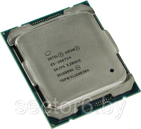Процессор Intel Xeon E5-2667 v4, фото 2