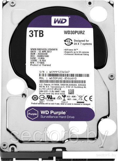 Жесткий диск WD Purple 3TB [WD30PURZ] - фото 1 - id-p115688233