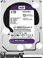 Жесткий диск WD Purple 1TB [WD10PURZ]