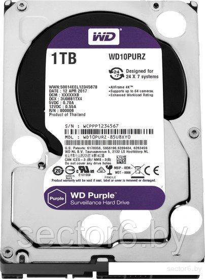 Жесткий диск WD Purple 1TB [WD10PURZ]