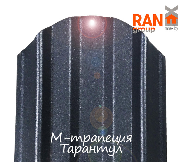 металлический штакетник М-трапеция Тарантул