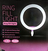 Кольцевая светодиодная лампа LED Ring 26см Fill Light ZD666+штатив (2.2м)