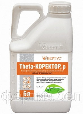 Nertus «Theta - корректор» 5л - фото 1 - id-p115825293