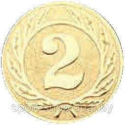 Эмблема для медали "2 место" 50mm J1, медали, наградная продукция, эмблема, эмблема для медали - фото 1 - id-p103991844