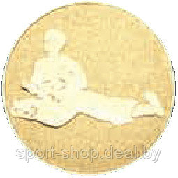 Эмблема для медали 25mm I3, медали, наградная продукция, эмблема, эмблема для медали - фото 1 - id-p103991842