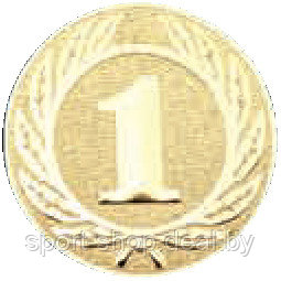Эмблема для медали "1 место" 50mm I1, медали, наградная продукция, эмблема, эмблема для медали - фото 1 - id-p103991840