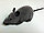 Крыса на радиоуправлении (работает от батареек)., фото 4