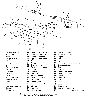 Предохранитель для МР-514К., фото 4