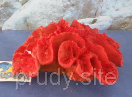 Коралл ACH-7725D - фото 1 - id-p6853664