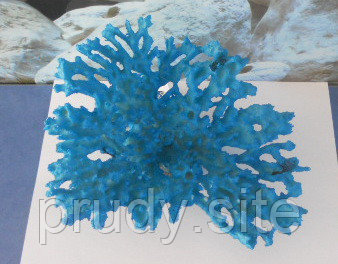 Коралл ACH-7734D - фото 1 - id-p6853758