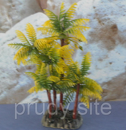 Декоративное растение "Пальма" - фото 1 - id-p6853811