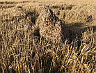 Маскировочный халат North Way Леший ULTRA (светлый камыш), фото 2