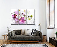 Модульная картина (1200х800 мм) "Орхидея"