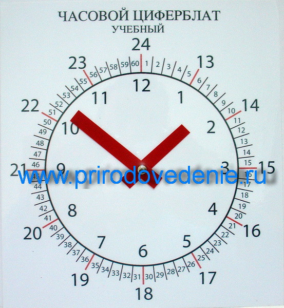 Часовой циферблат раздаточный - фото 1 - id-p115780168