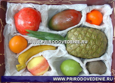 Набор муляжей тропических фруктов - фото 1 - id-p115780229