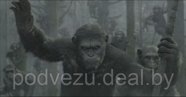 Планета обезьян: Революция (2014) (3D BLU RAY Видео-фильм) - фото 2 - id-p94723746