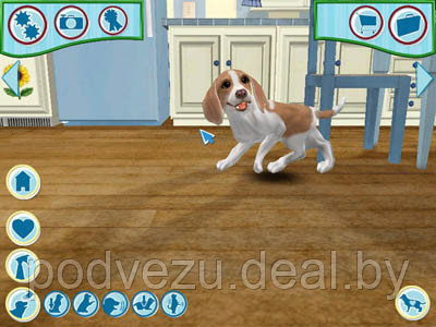 Dogz 6 Лицензия! (PC) - фото 3 - id-p22351878