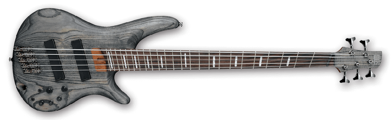 Ibanez Bass Workshop Series SRFF805 BKS