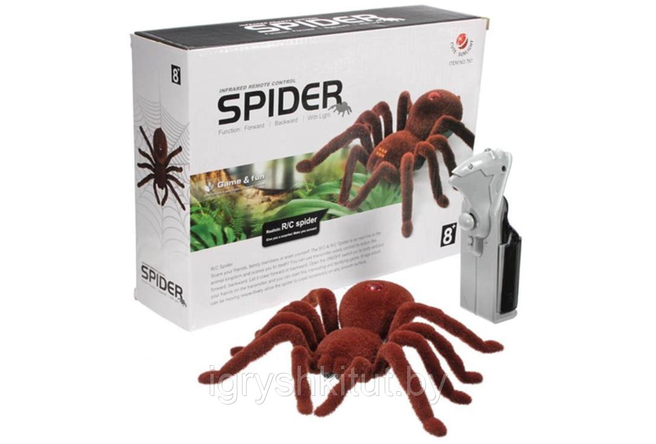 Паук на радиоуправлении Тарантул, размер паука 20 см, арт. 787 - фото 1 - id-p116270310