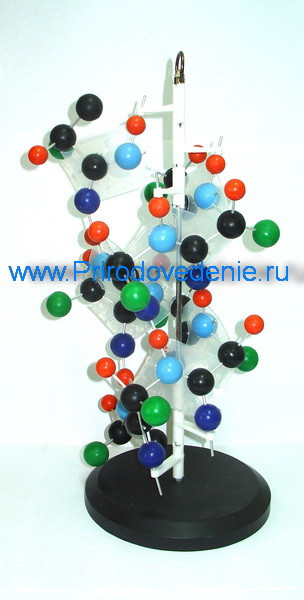 Модель "Структура белка" - фото 1 - id-p115779961