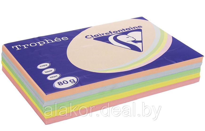 Бумага цветная "Trophée", А4, 80г/м2, 500л., пастель, ассорти - фото 1 - id-p116263459